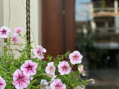 blog